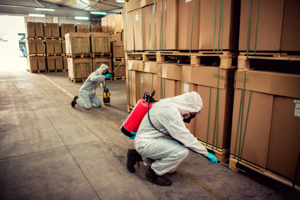 Best Flea Control Services  in Camilla, GA