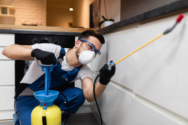 Best Local Pest Control Services  in Camilla, GA