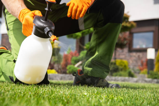 Best Best Pest Control Companies  in Camilla, GA