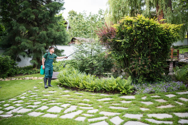 Best Pest Prevention Services  in Camilla, GA