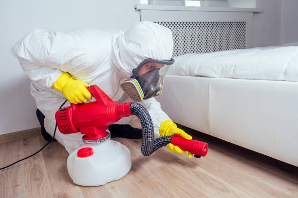 Best Affordable Pest Control Services  in Camilla, GA