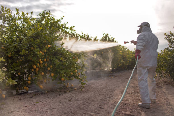 Best Wildlife Control Services  in Camilla, GA