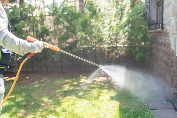 Best Bird Control  in Camilla, GA