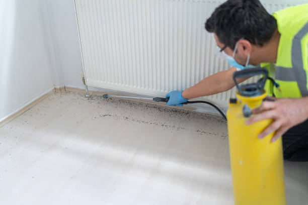 Best Emergency Pest Control  in Camilla, GA